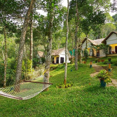 Niraamaya Retreats Cardamom Club Теккаді Екстер'єр фото