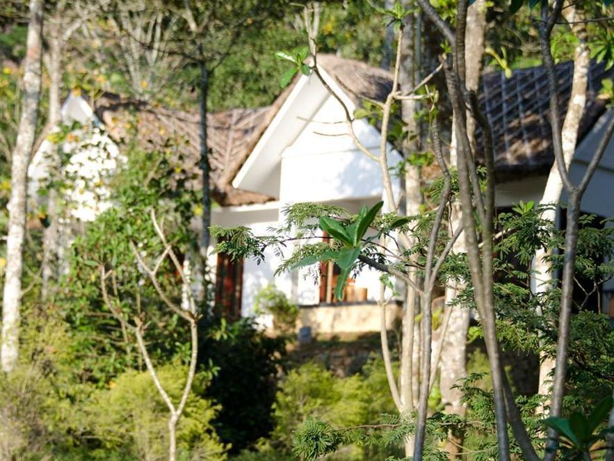 Niraamaya Retreats Cardamom Club Теккаді Екстер'єр фото